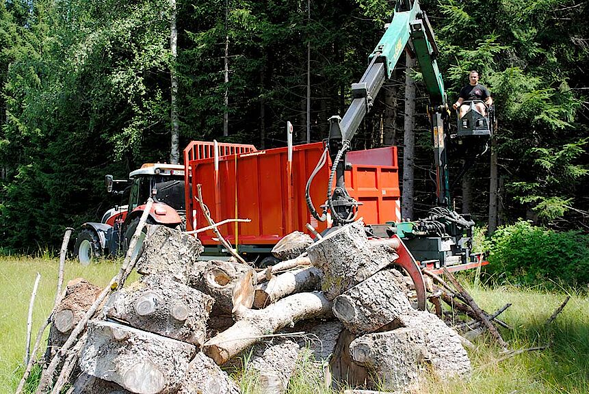 Holztransport