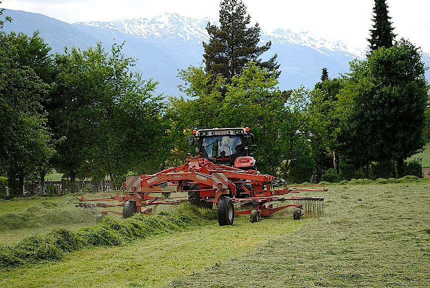 Doppelschwader-Gumpitsch